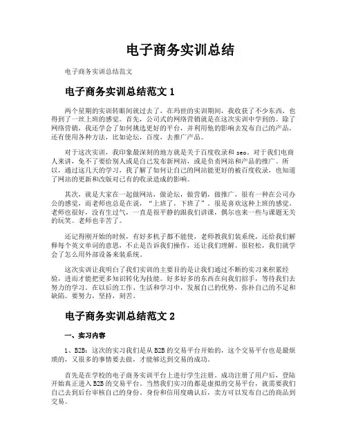电子商务实训总结
