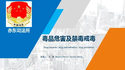 毒品危害及禁毒戒毒PPT课件