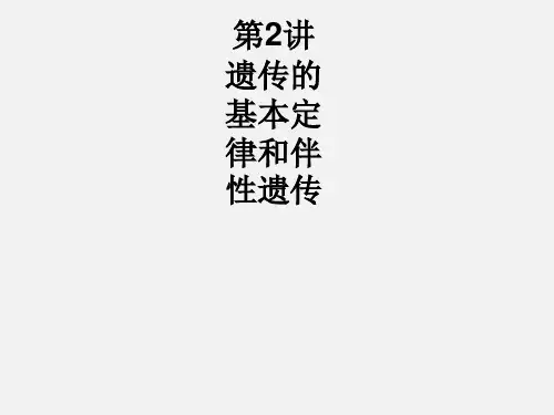 高考生物 二轮复习 专题4 遗传、变异和进化 2 遗传的基本定律和伴性遗传