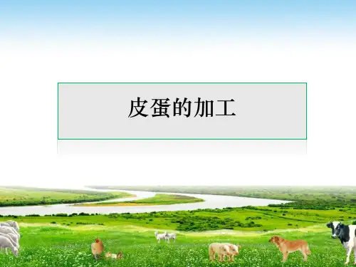皮蛋的加工