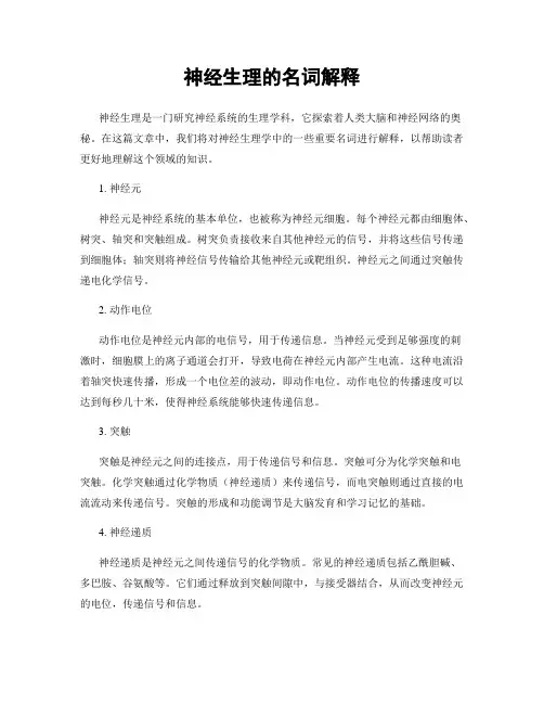 神经生理的名词解释