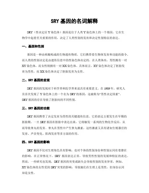 SRY基因的名词解释