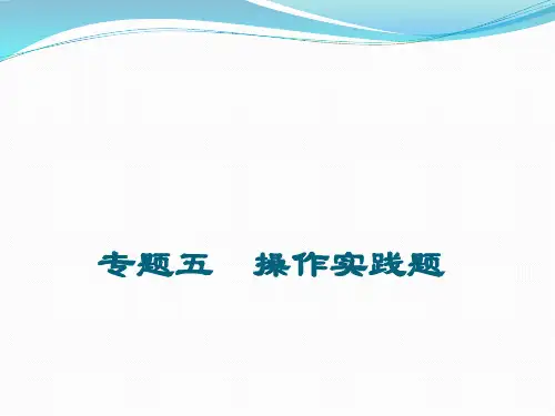 中考数学复习 专题5 操作实践题