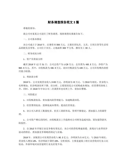 财务调查报告范文3篇