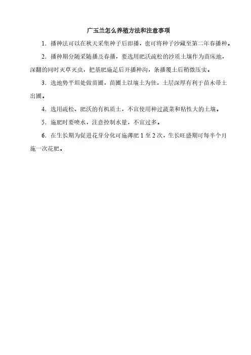 广玉兰怎么养殖方法和注意事项