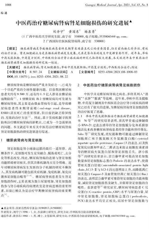中医药治疗糖尿病肾病肾足细胞损伤的研究进展