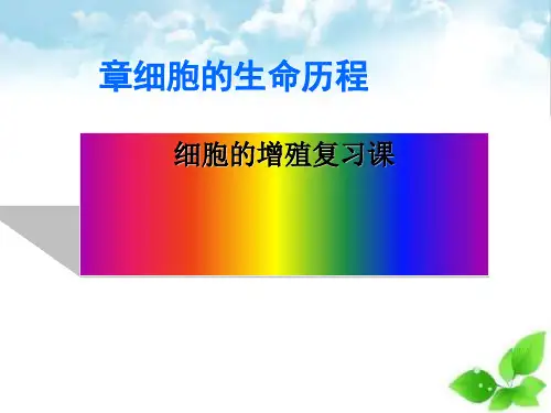 细胞的增殖复习课ppt课件(自制)