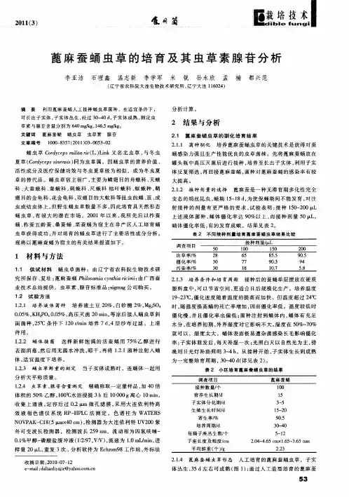 蓖麻蚕蛹虫草的培育及其虫草素腺苷分析