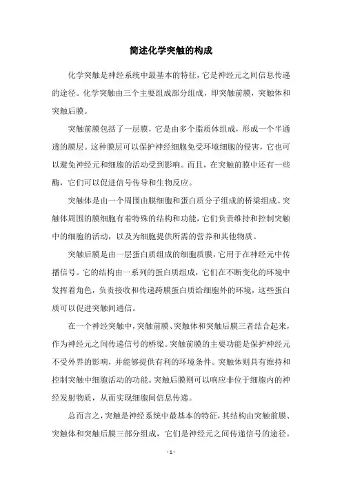 简述化学突触的构成