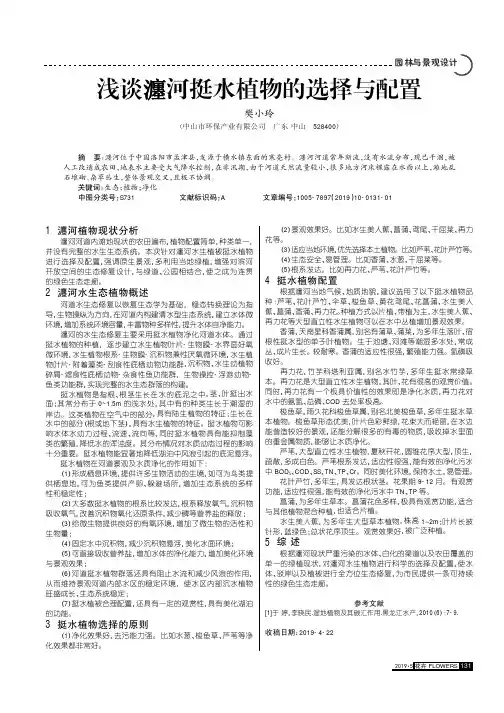 浅谈瀍河挺水植物的选择与配置
