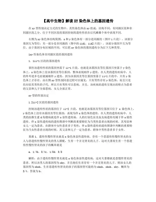 【高中生物】解读XY染色体上的基因遗传