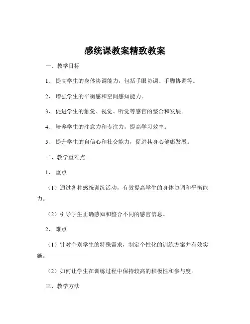 感统课教案精致教案