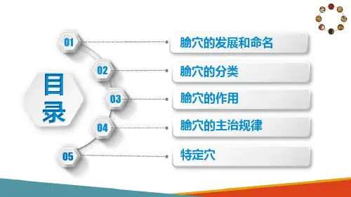 中医经络与腧穴—腧穴(中医基础课件)