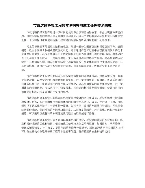 市政道路桥梁工程的常见病害与施工处理技术探微
