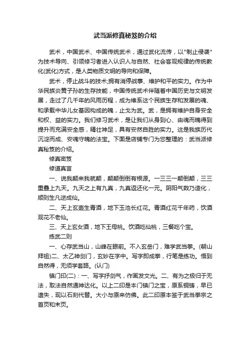 武当派修真秘笈的介绍