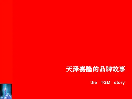 天泽嘉隆的品牌故事(PPT 49)