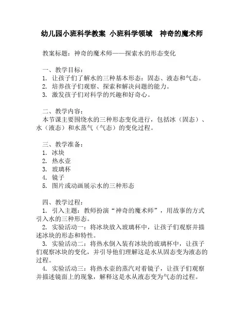 幼儿园小班科学教案 小班科学领域  神奇的魔术师