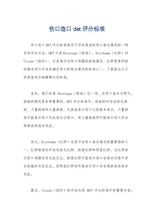 伤口造口det评分标准
