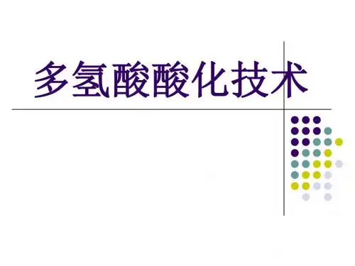 多氢酸酸化技术页PPT文档