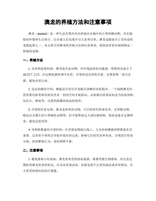 澳龙的养殖方法和注意事项