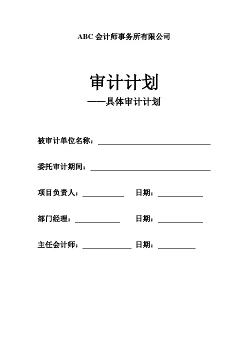 具体审计计划范本