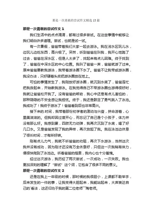 那是一次勇敢的尝试作文精选15篇