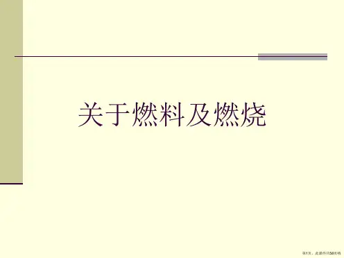 燃料及燃烧课件