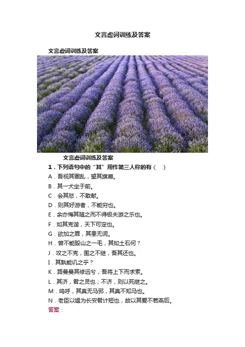 文言虚词训练及答案