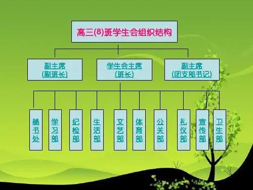 高三(8)班班级组织结构