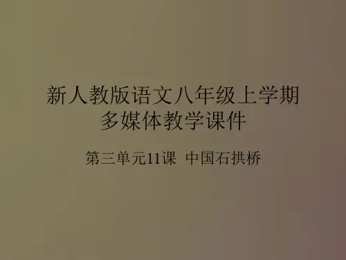 人教版八年级上学期第三单元11课《中国石拱桥》(共41张PPT)