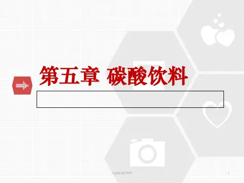 第五章 碳酸饮料PPT课件