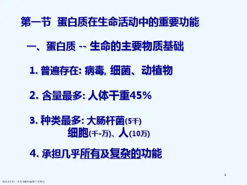 蛋白质结构和功能