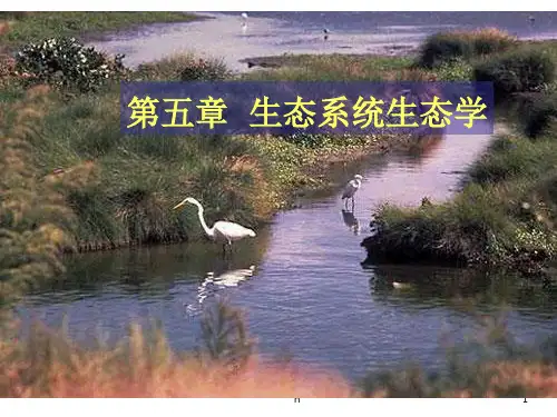 生态学-- 第五章  生态系统生态学-3生态系统的类型