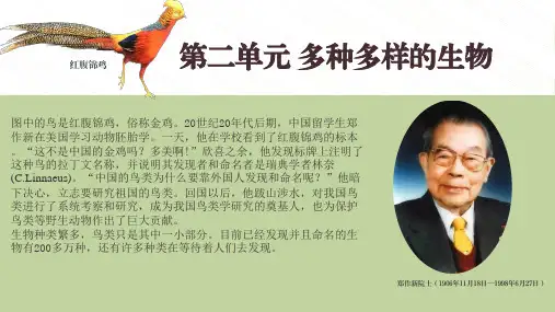 2.1.1 藻类、苔藓和蕨类(人教版2024)2024-2025学年七年级生物上册(人教版2024)