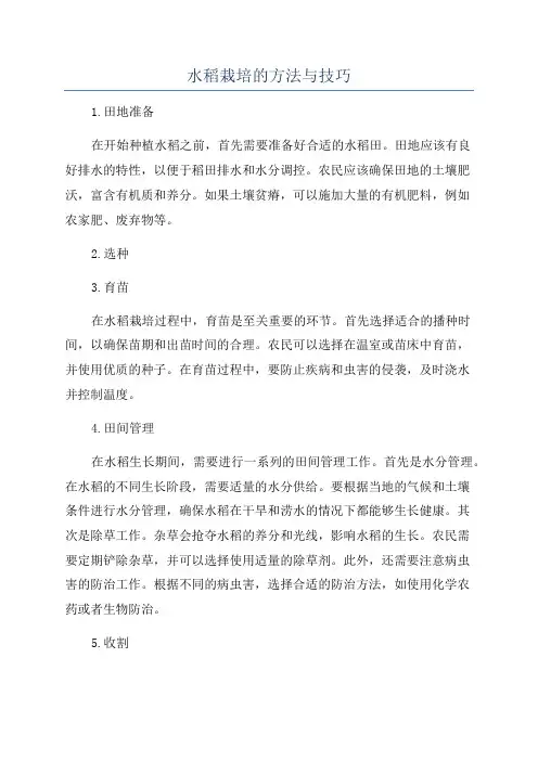 水稻栽培的方法与技巧
