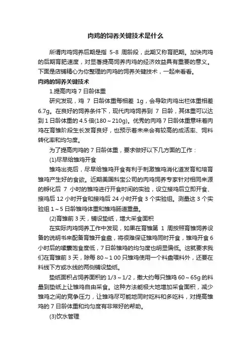 肉鸡的饲养关键技术是什么