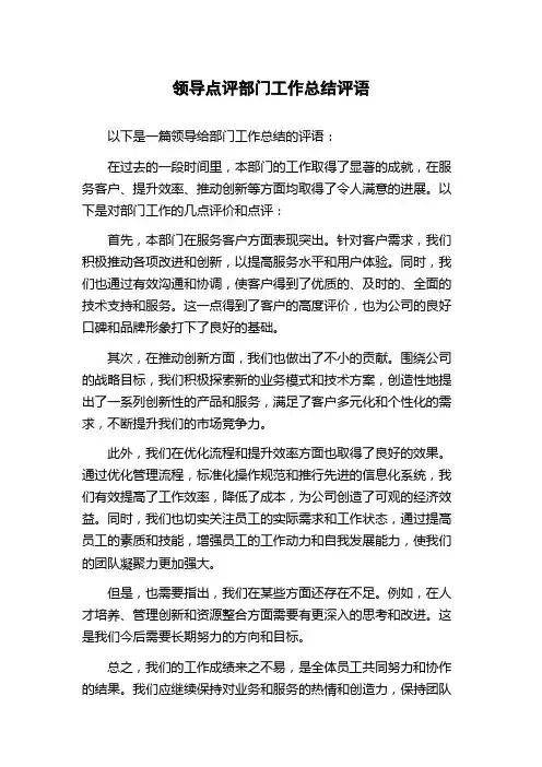 领导点评部门工作总结评语