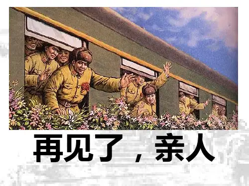 14再见了亲人课件 (1)【人教版】