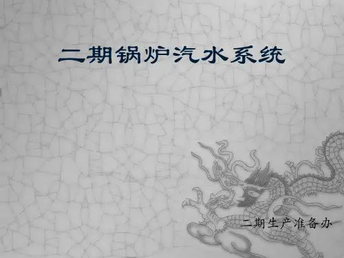 泰州二次再热锅炉汽水系统