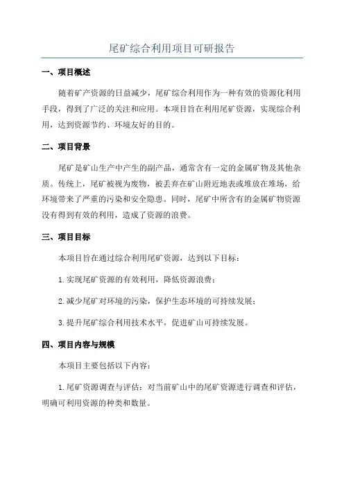尾矿综合利用项目可研报告