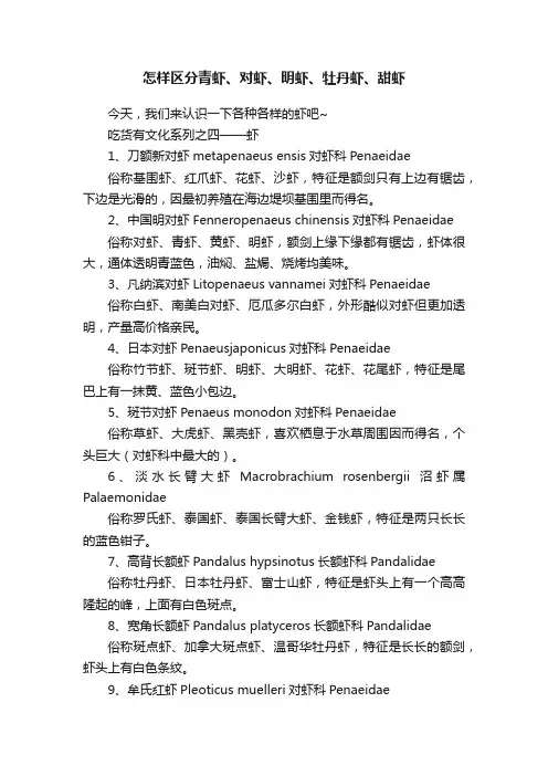 怎样区分青虾、对虾、明虾、牡丹虾、甜虾