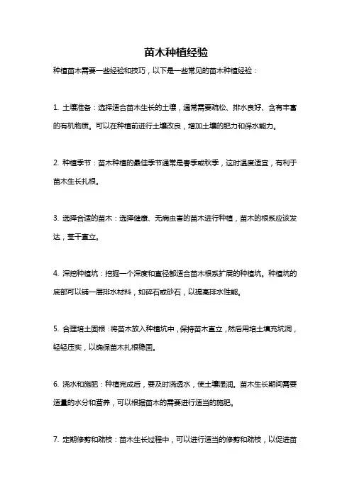 苗木种植经验