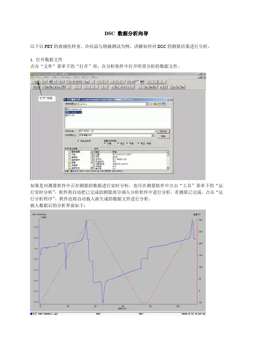 DSC 数据分析向导