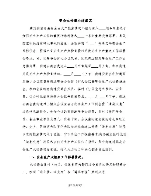 安全大检查小结范文（2篇）