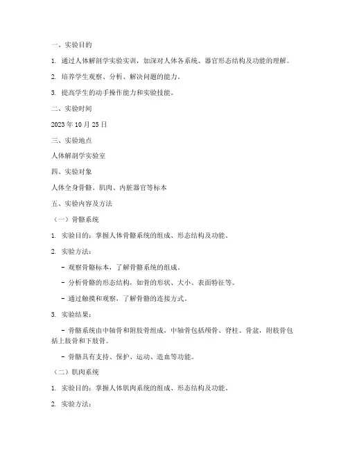 人体解剖学实验实训报告