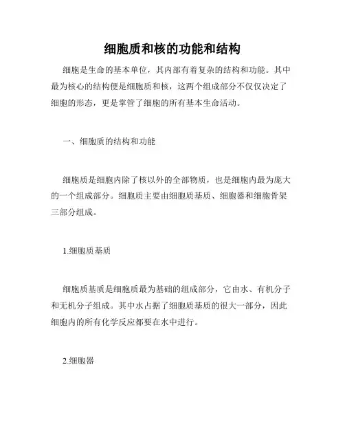 细胞质和核的功能和结构