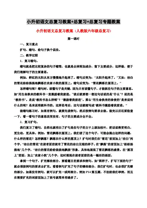 小升初语文总复习教案+总复习+总复习专题教案