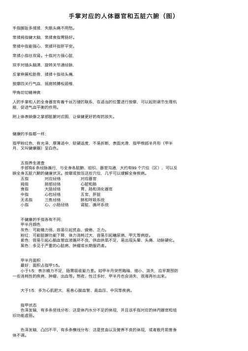 手掌对应的人体器官和五脏六腑（图）