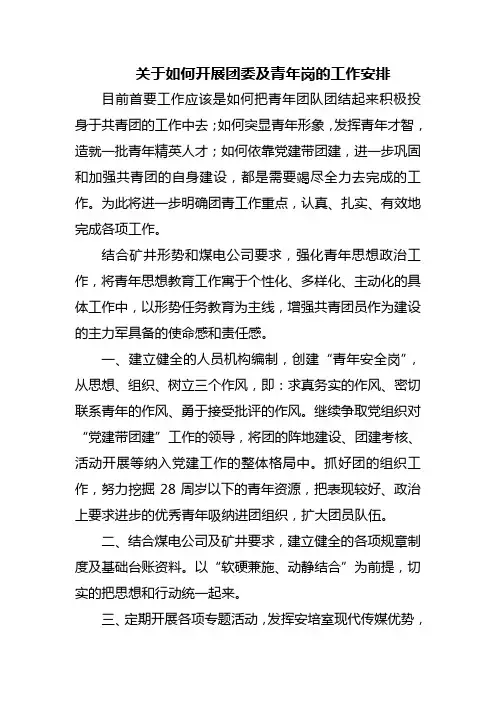 关于如何开展团委及青年岗的工作安排