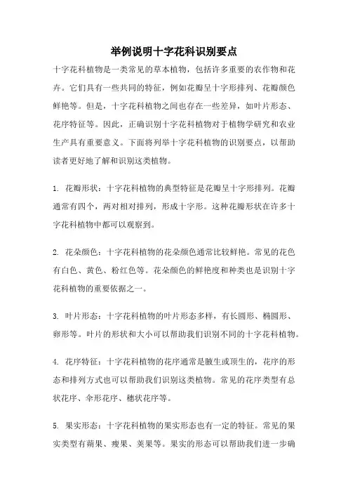举例说明十字花科识别要点
